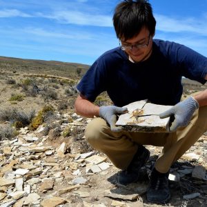 This ancient tadpole fossil is the oldest ever discovered