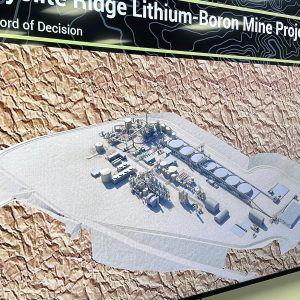 Nevada lithium mine will crush rare plant habitat US said is critical to its survival, lawsuit says