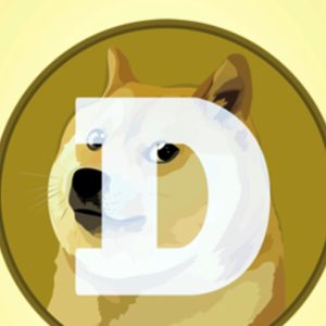 Bull doge! Dogecoin soars as Trump announces a government efficiency group nicknamed DOGE